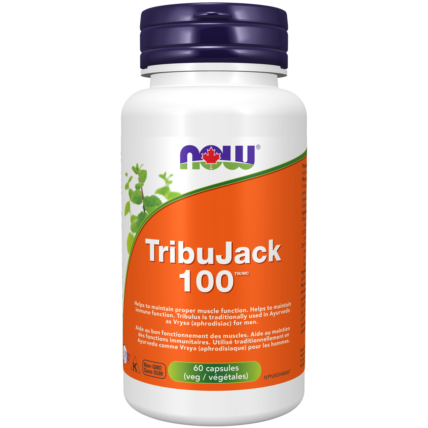 NOW TribuJack 100 60 vcap