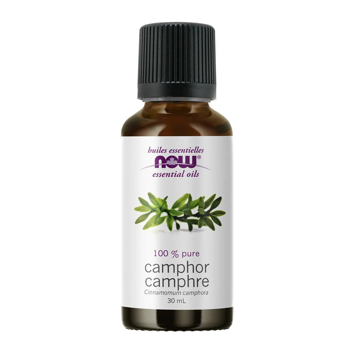 NOW Camphor Oil 30mL