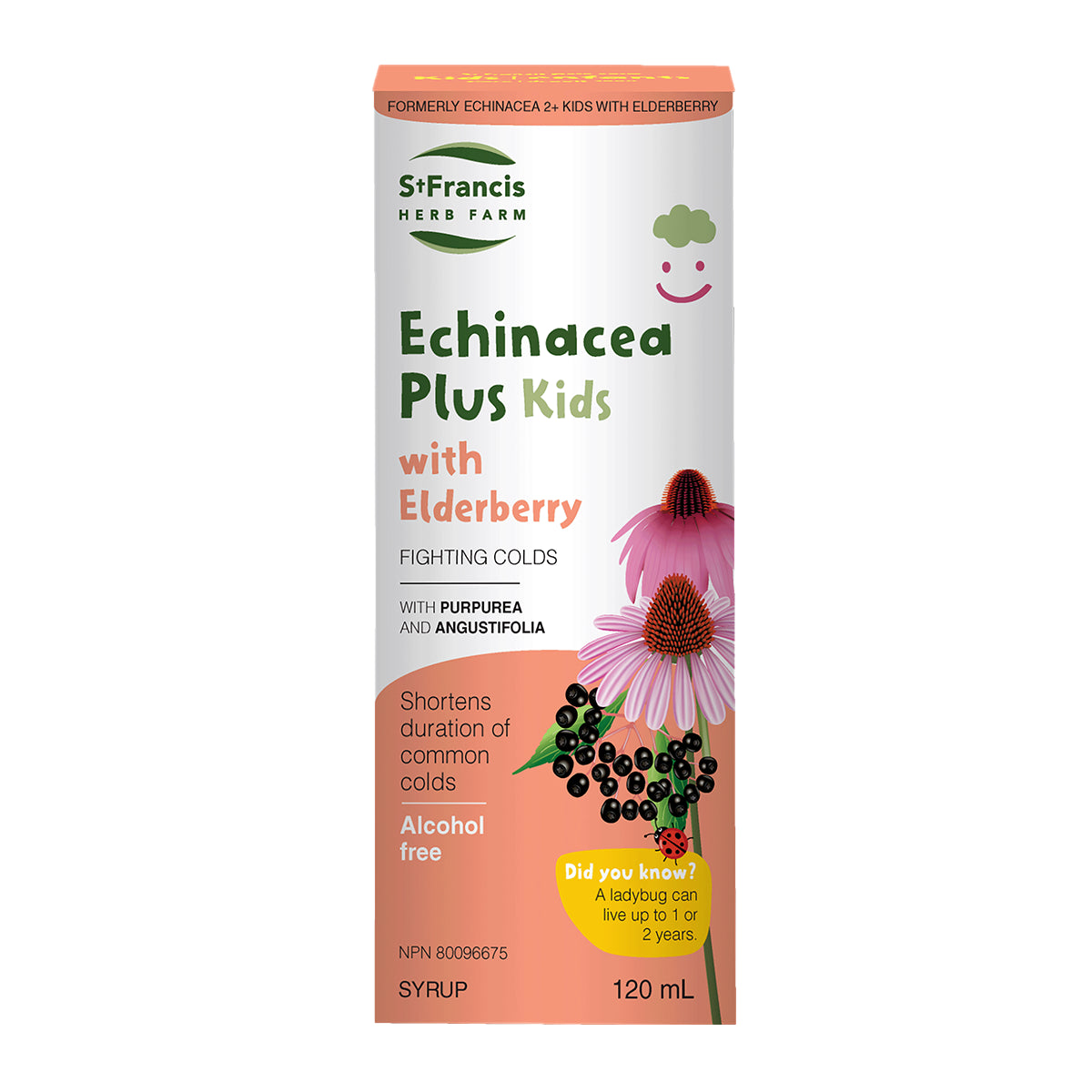 St. Francis Echinacea Plus Kids with Elderberry 120mL - Soy Free, Alcohol Free, Helps with Cold, Flu