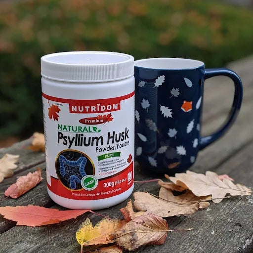 Nutridom Psyllium Husk Powder 300 G