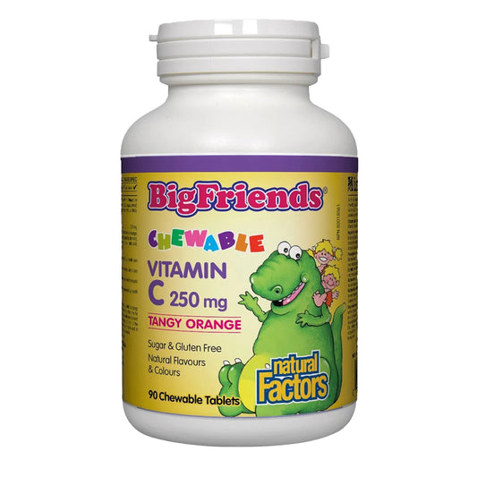 Natural Factors Big Friends Vitamin C 250mg Tangy Orange 90 Chewable Tablets