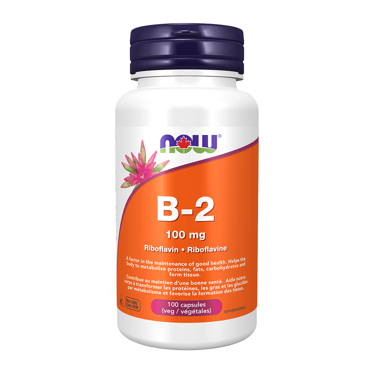 NOW B-2 100mg 100 Vcaps