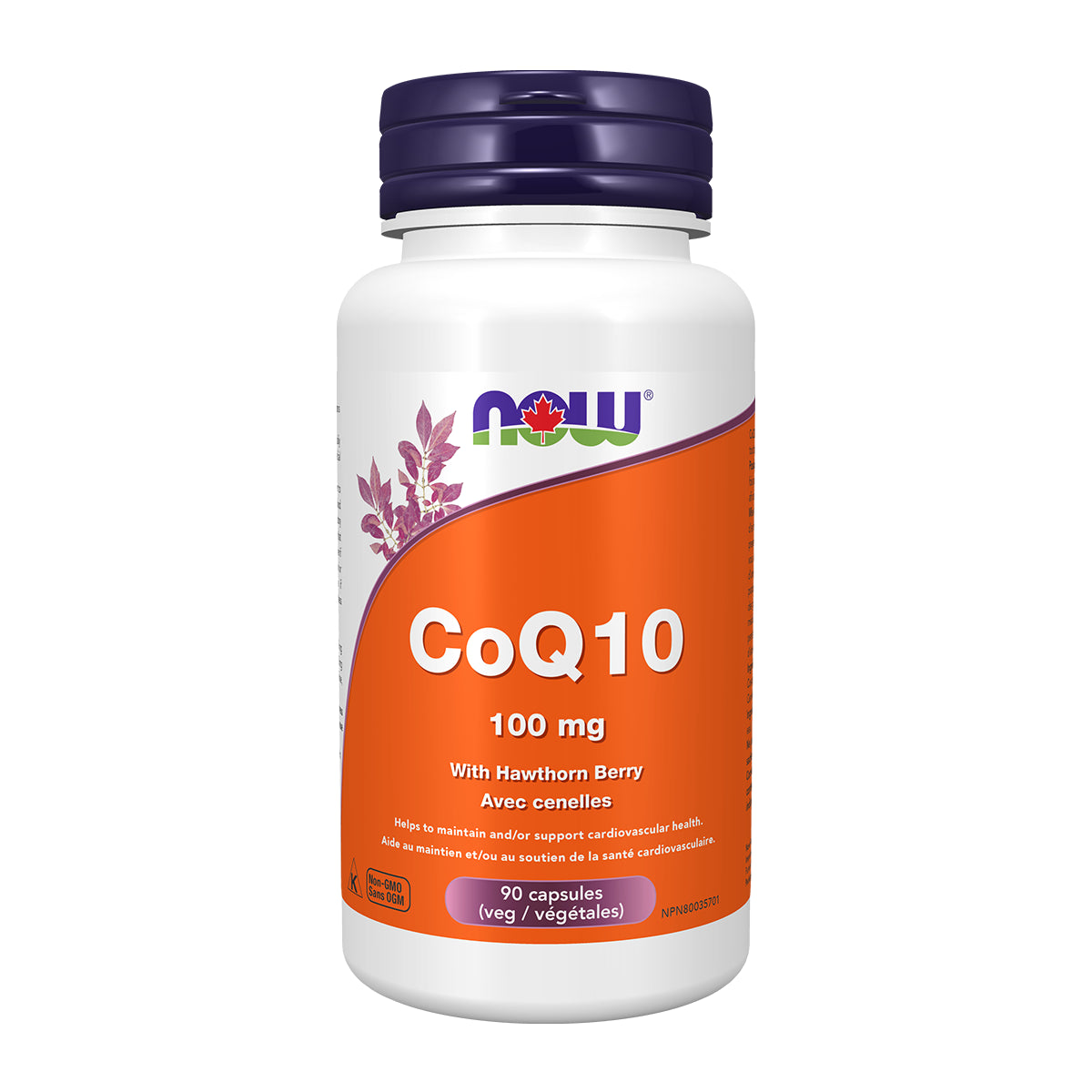 Now CoQ10 100 Mg 90 Cap
