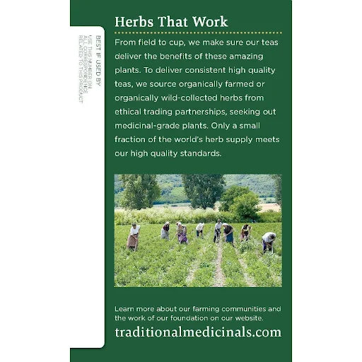 ORG TRAD TRD00752 Org Lemon Balm Tea 16bg